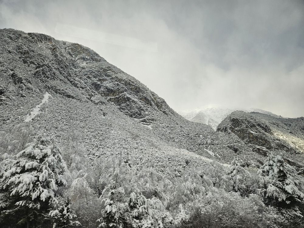 Photograph by Surendran Kalaivani