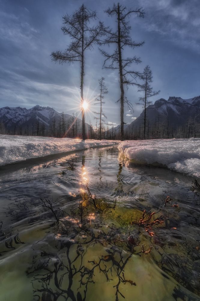 Photograph by Полякова Наталия