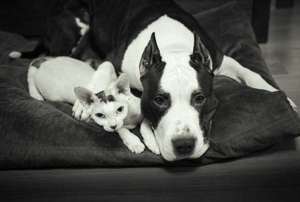 Photograph by Евгений Зачепило