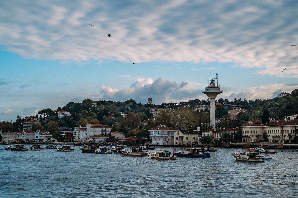 Photograph by Гузенко Анатолий