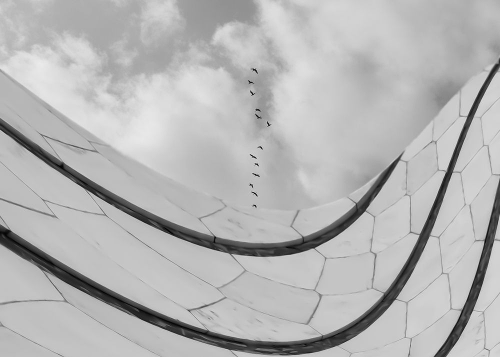 Photograph by Hoda Amouzandeh