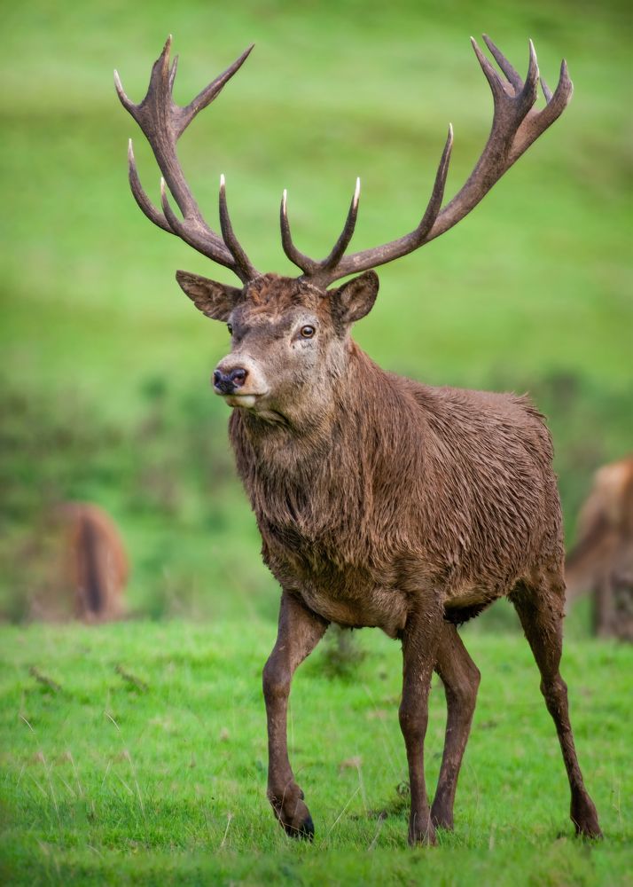 Photograph by Madhurya Mozumder