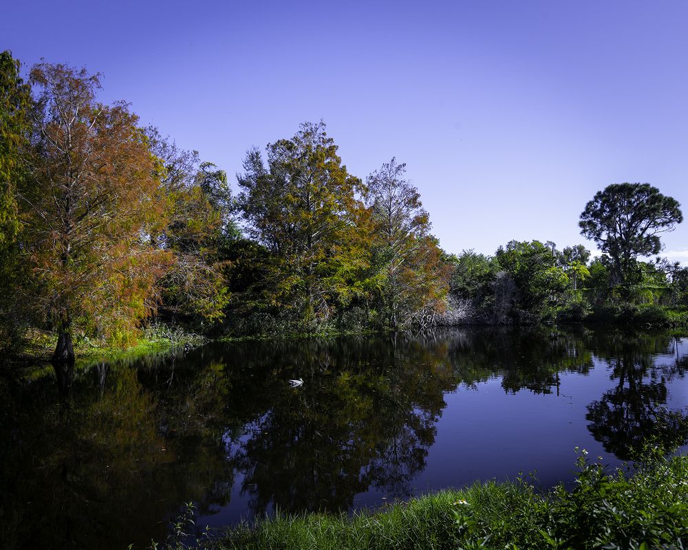 Фотография автора Ray Asiala