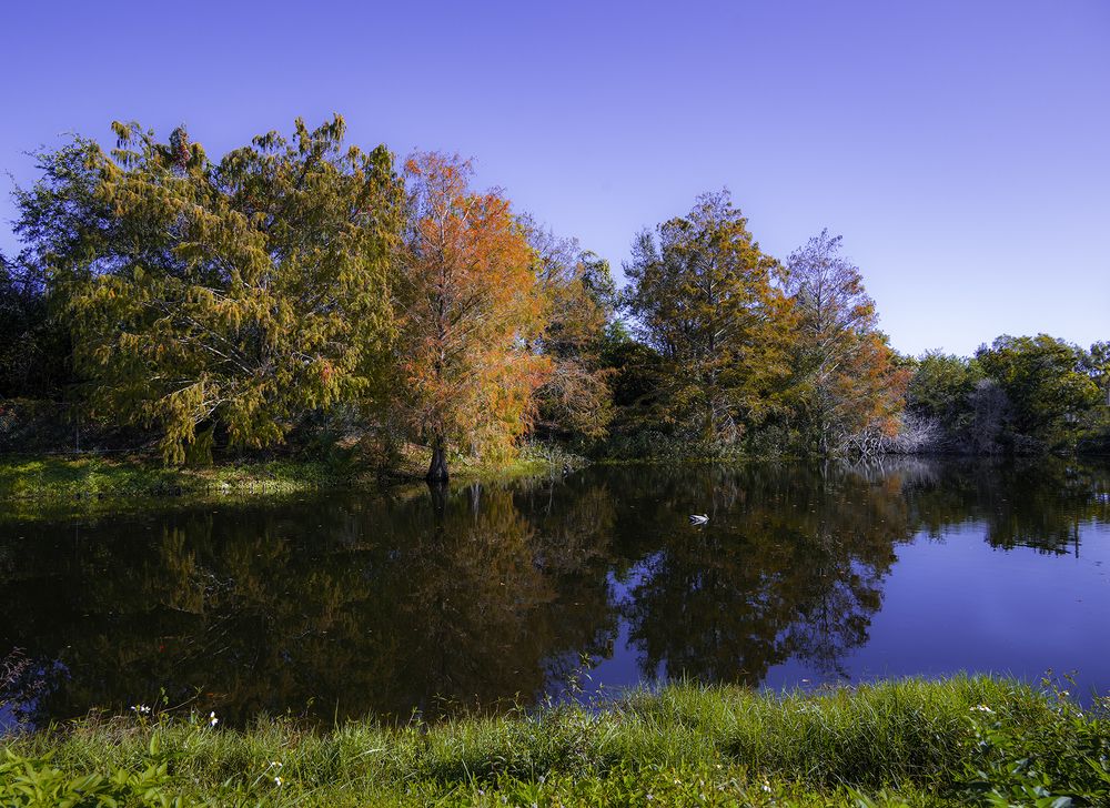 Фотография автора Ray Asiala