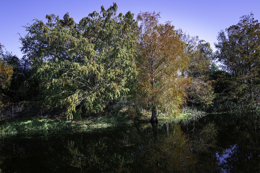 Фотография автора Ray Asiala