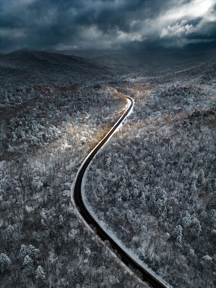 Photograph by Полякова Наталия