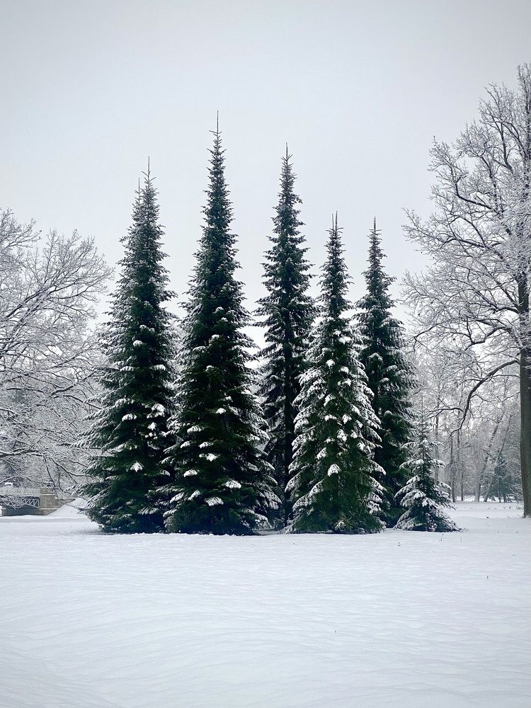 Photograph by Иованна Решетова