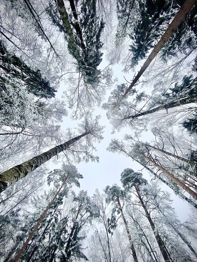 Photograph by Иованна Решетова