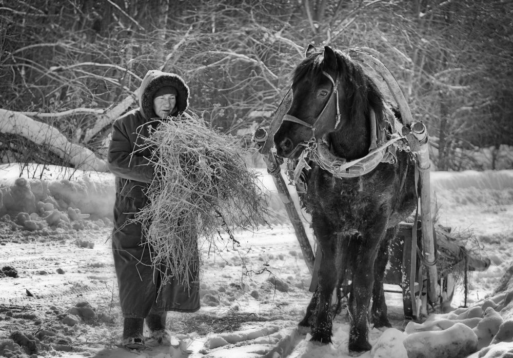Photograph by Олег Тыркин