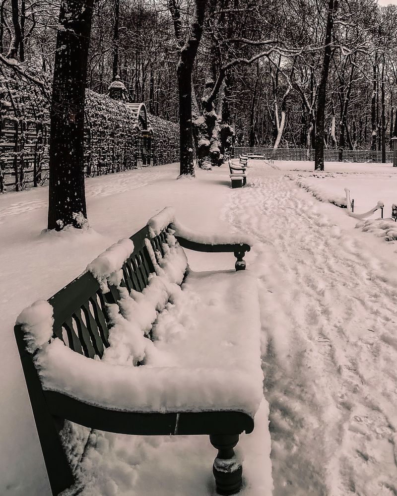 Photograph by Svetlana