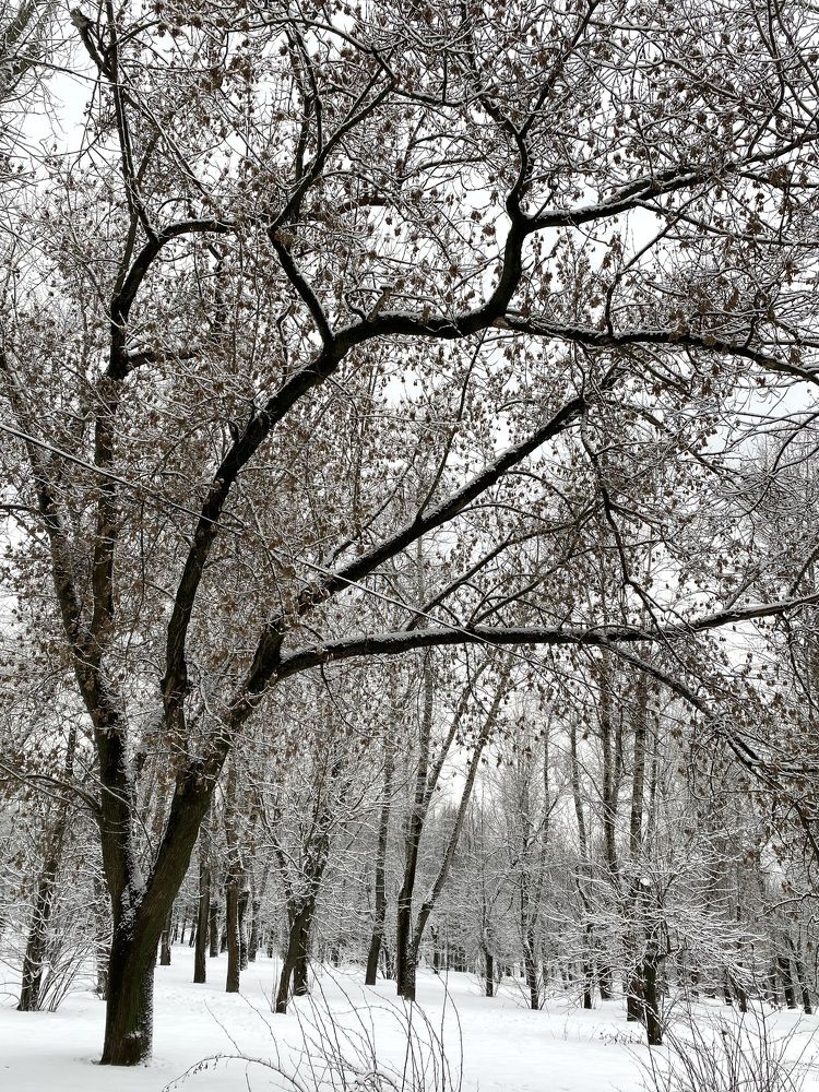 Photograph by Елизавета Корнилова