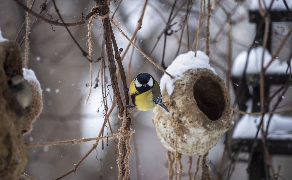 Photograph by Ольга Католичук