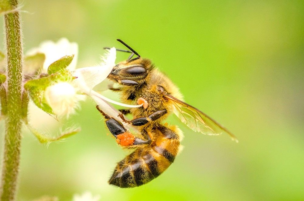 Photograph by Eduardo Bom