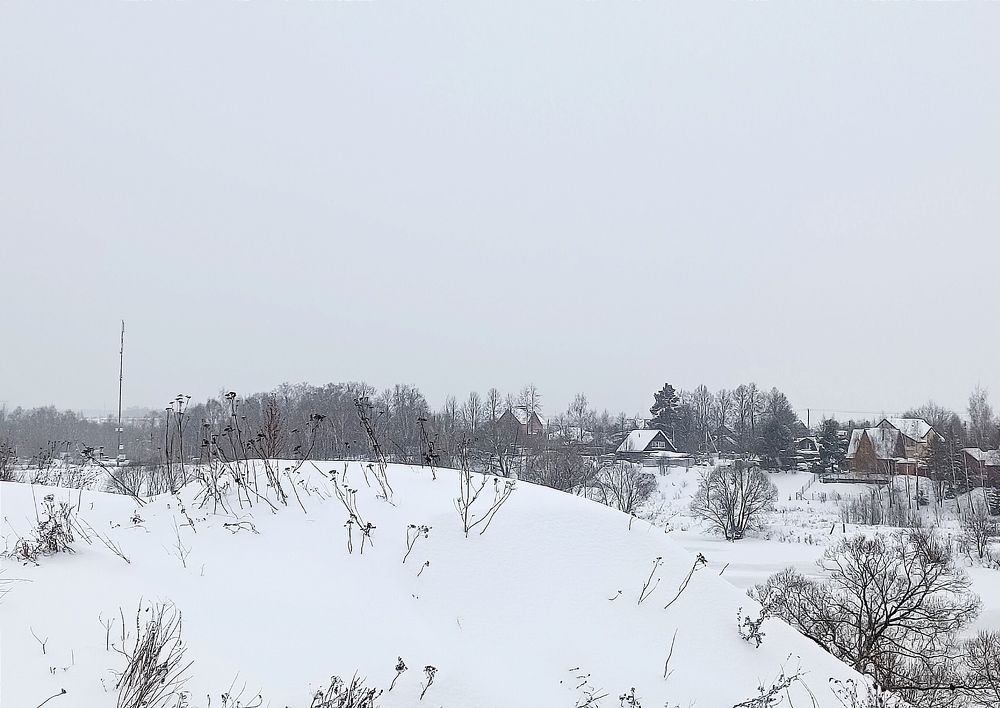 Фотография автора Мария Коледа