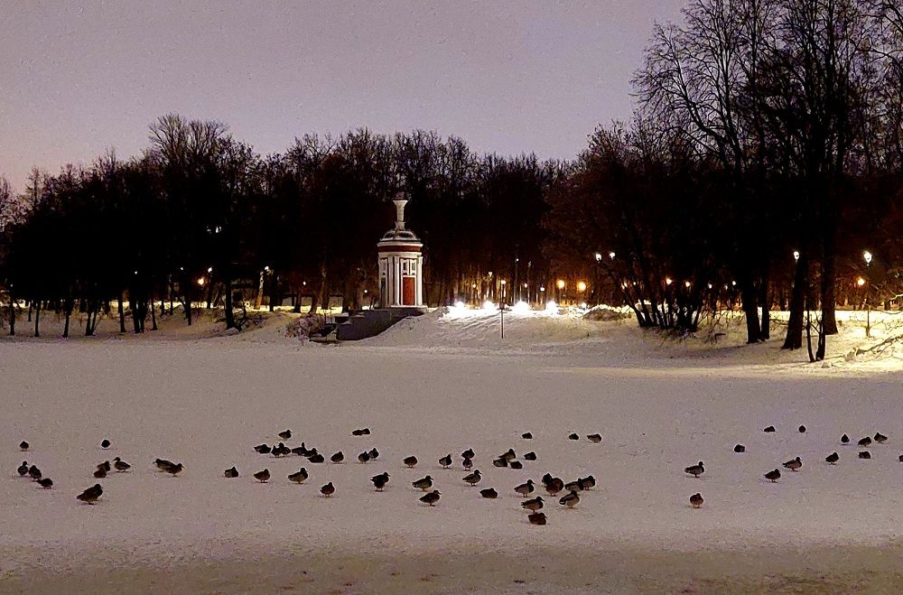 Фотография автора Мария Коледа