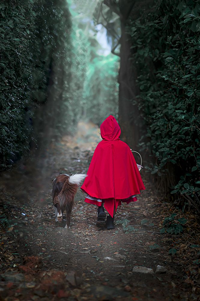 Photograph by ANA MARIA GAMBOA ESPINEL