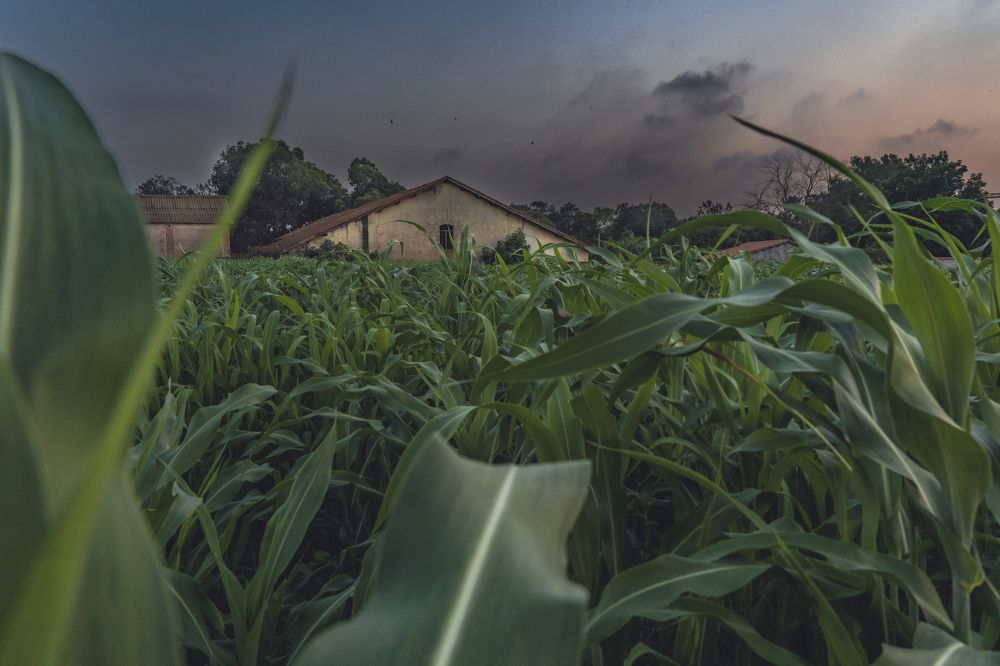 Photograph by Yacer Seksaoui