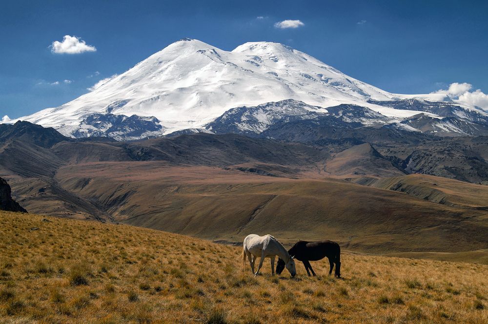 Photograph by Михаил Голубев