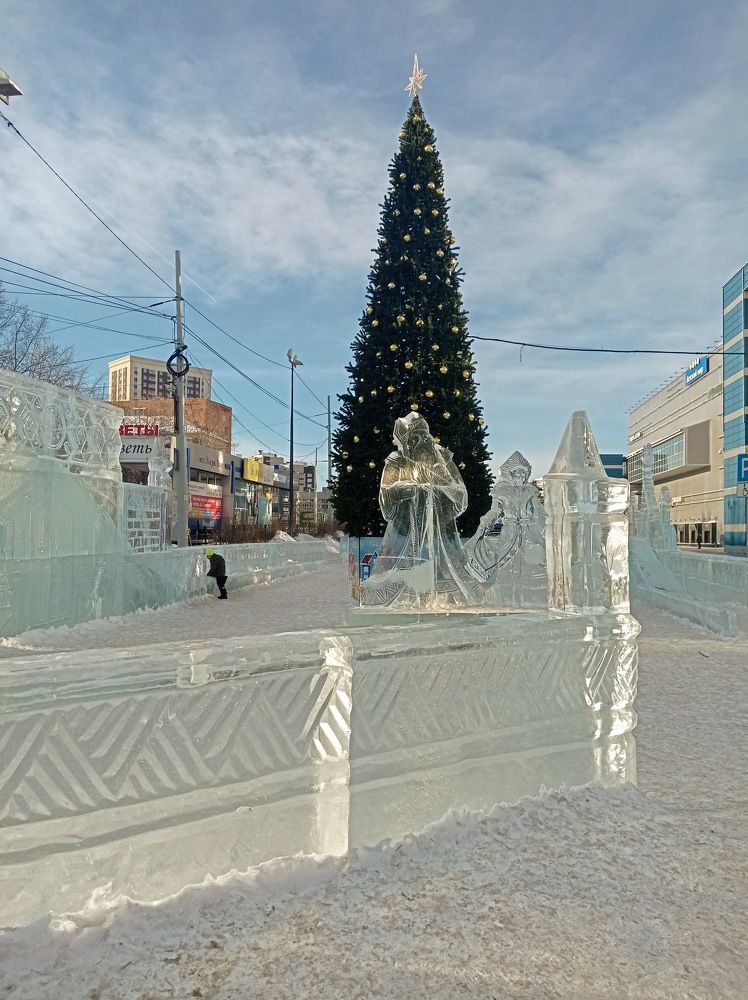 Photo #10037502