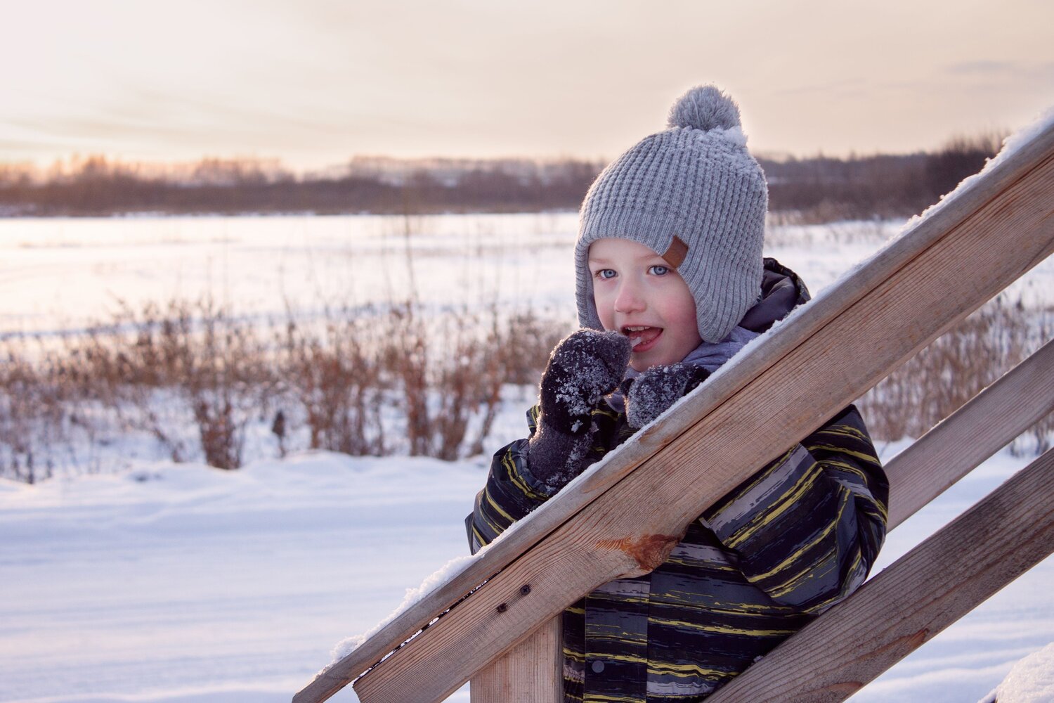 Photo #10037511