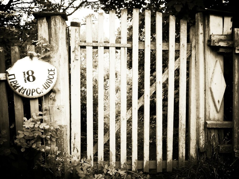 Photograph by Ирина Сергейчук