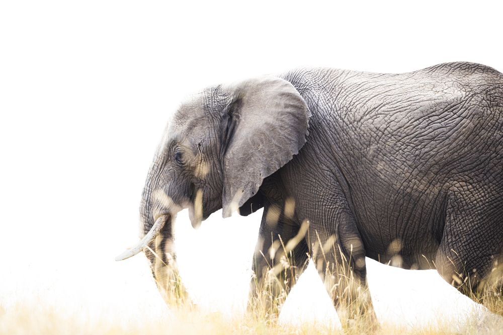 Photograph by Goutham Ganesh Sivanandam