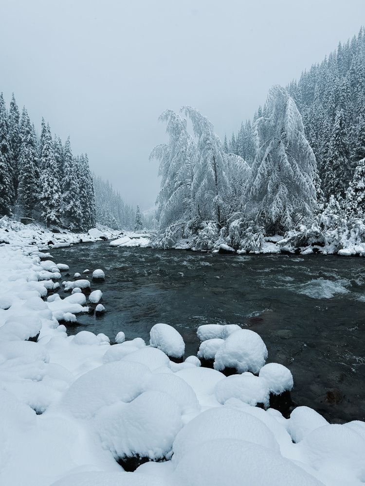 Photograph by Наталья Балеевских