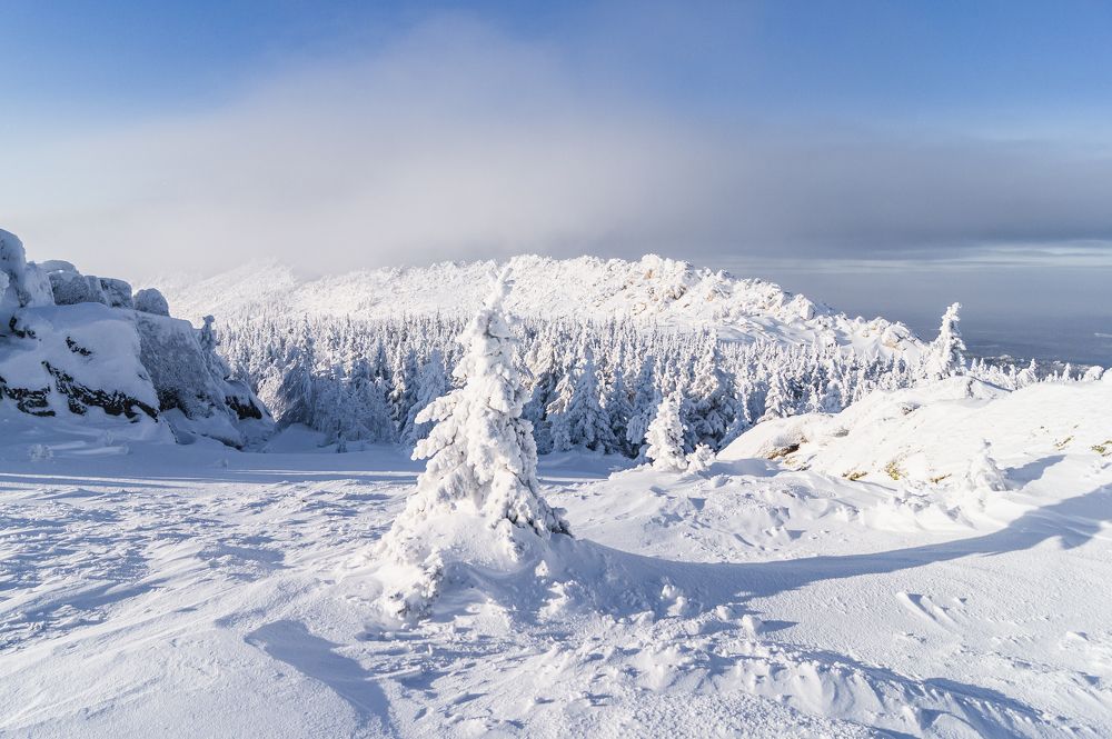 В снежном одеянии
