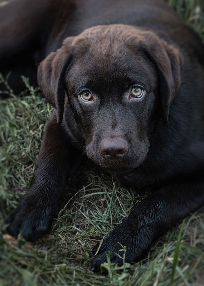 Фотография автора Eirene G