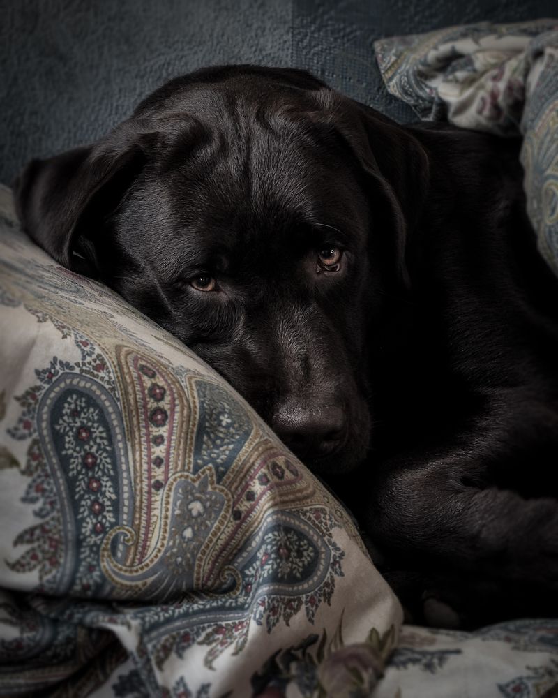 Фотография автора Eirene G