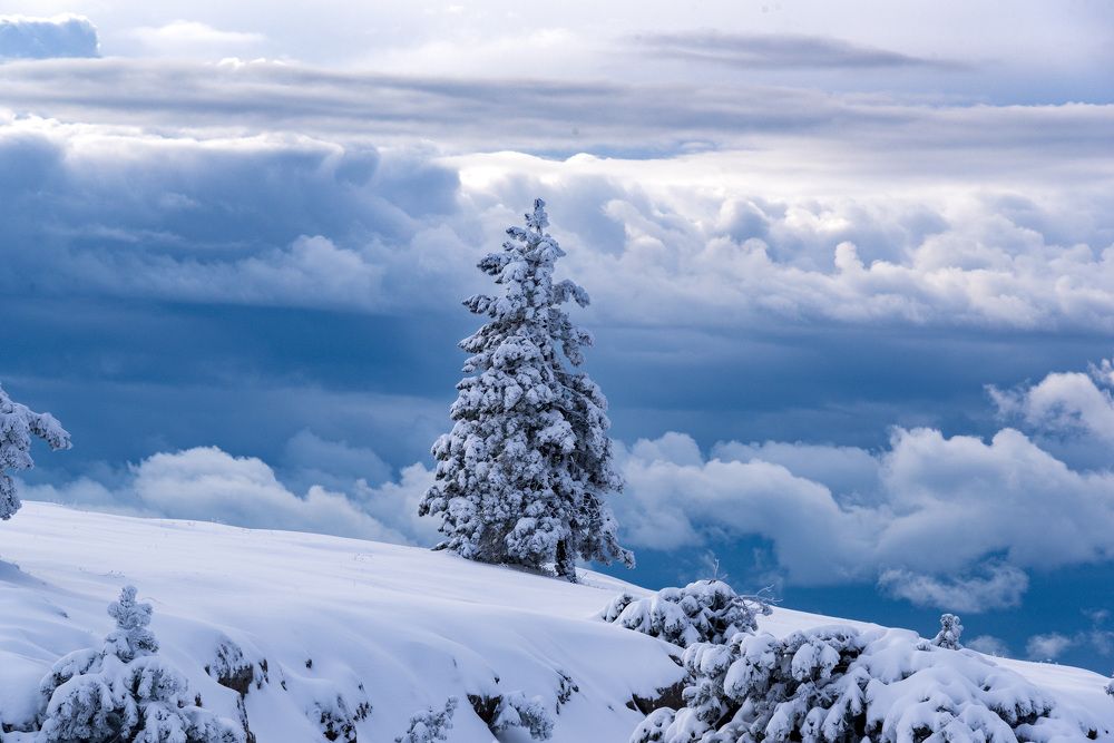 Photograph by Будаква Сергей