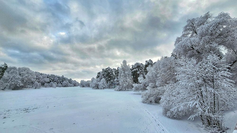 Белый декабрь.