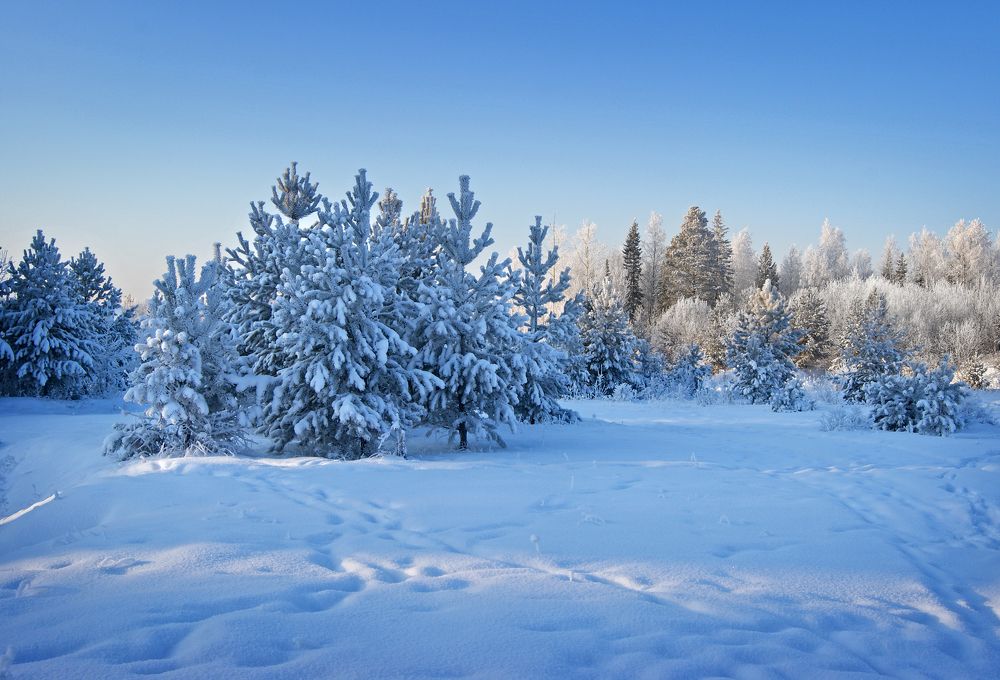 Photograph by Мария Кравченко