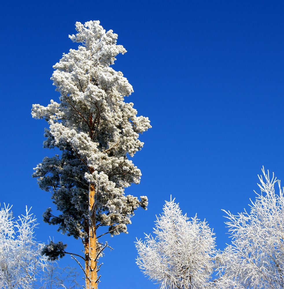 Photograph by Мария Кравченко