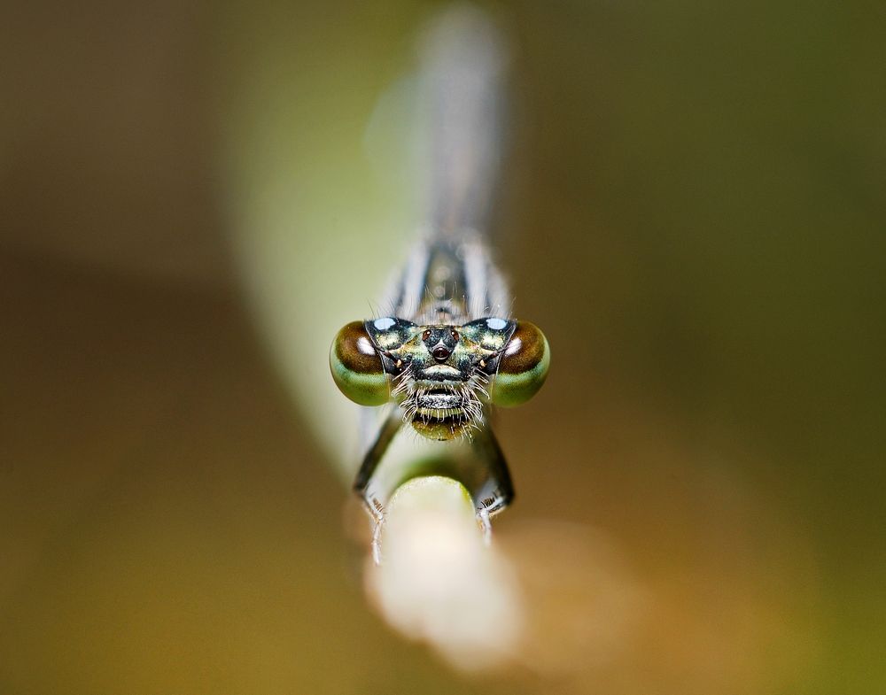 Photograph by Bekir Yesiltas