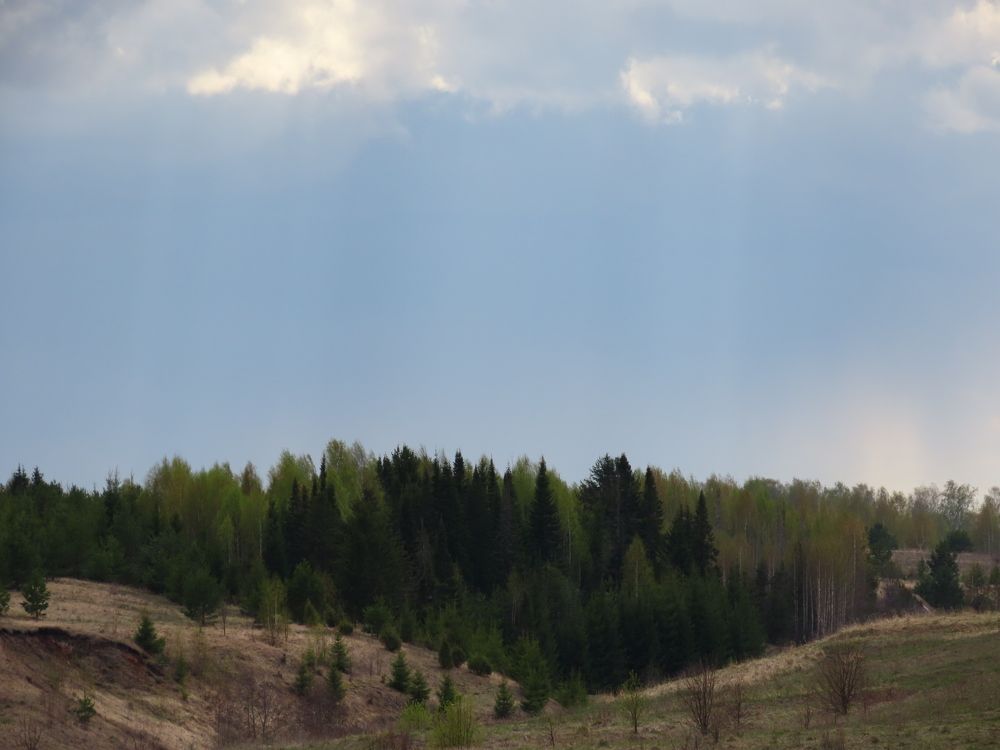 Зелёная весна