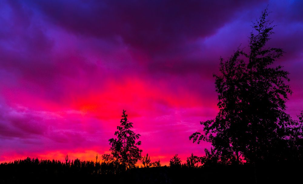 Photograph by Михаил Бояркин