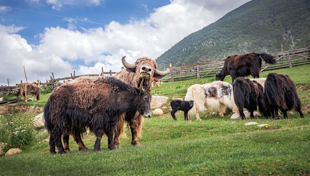 Photograph by Екатерина Волокитина