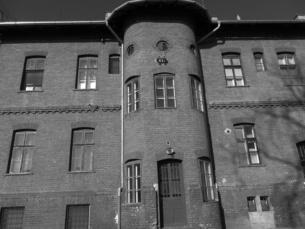 Фотография автора Dubravko Maricic