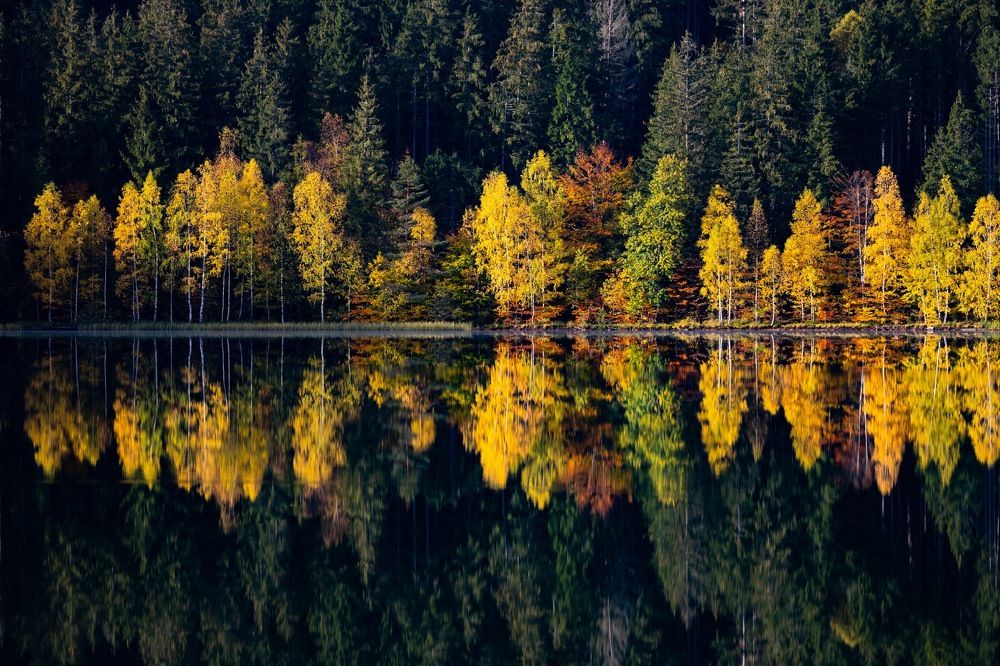 Photograph by Adrian Grigore