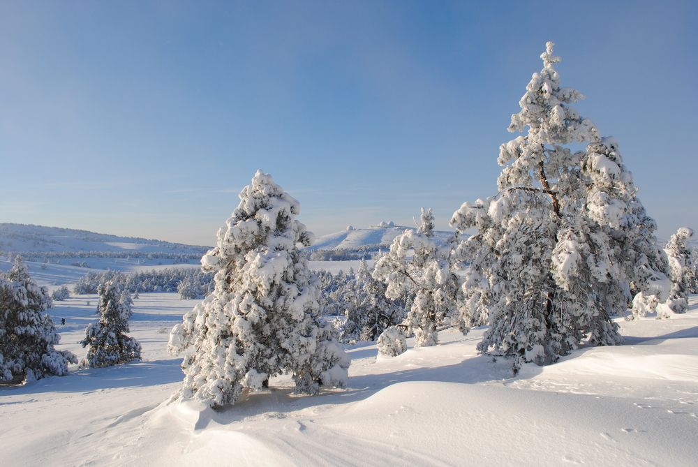 Photograph by Роман Туркин