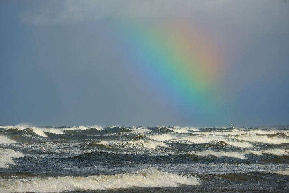 Фотография автора Elvijs Kalniņš