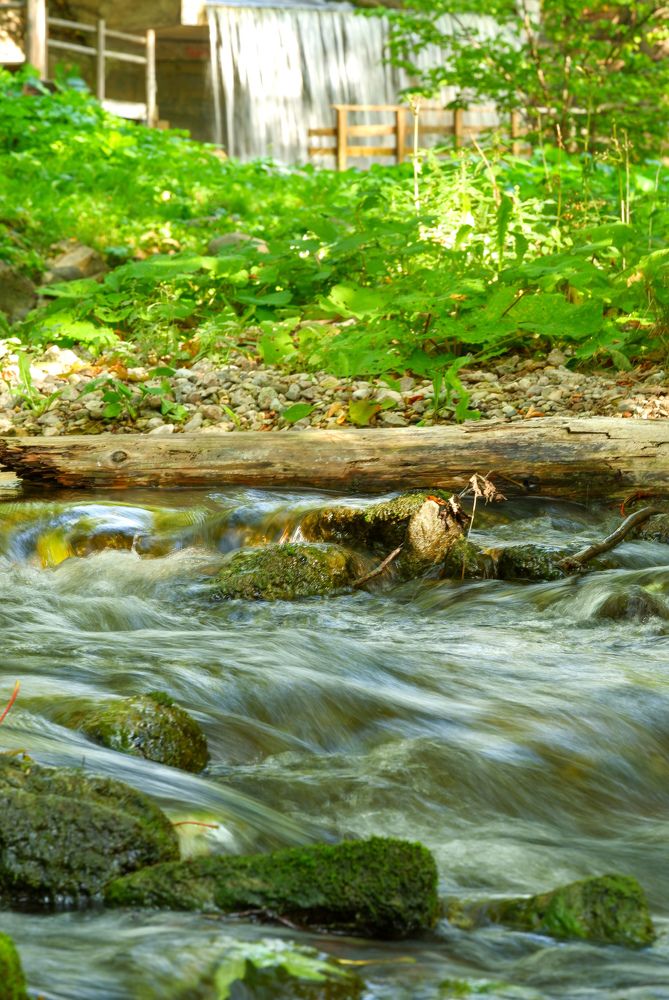 Фотография автора Elvijs Kalniņš