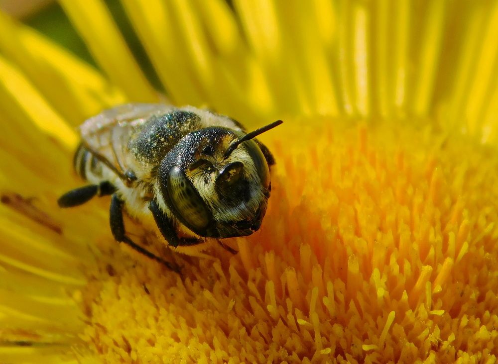 Photograph by Сергей Чеченов