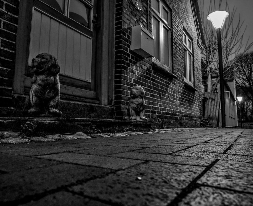 Photograph by Дмитрий Кондратюк