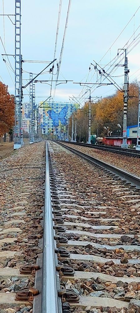 Фотография автора Можаев Сергей