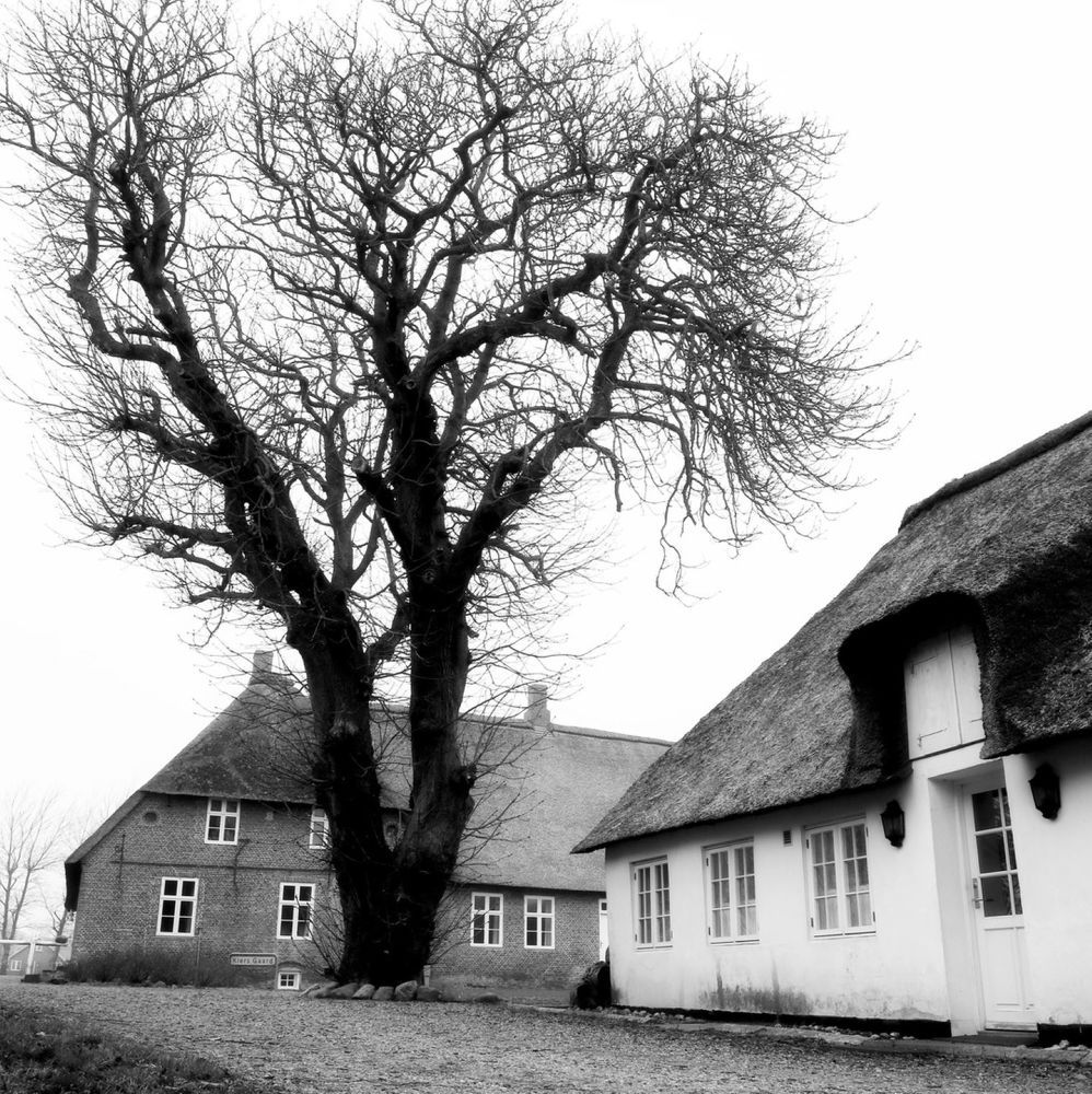 Photograph by Дмитрий Кондратюк