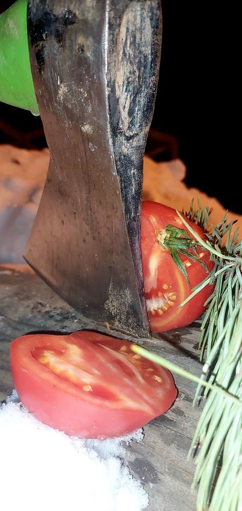 Фотография автора Можаев Сергей