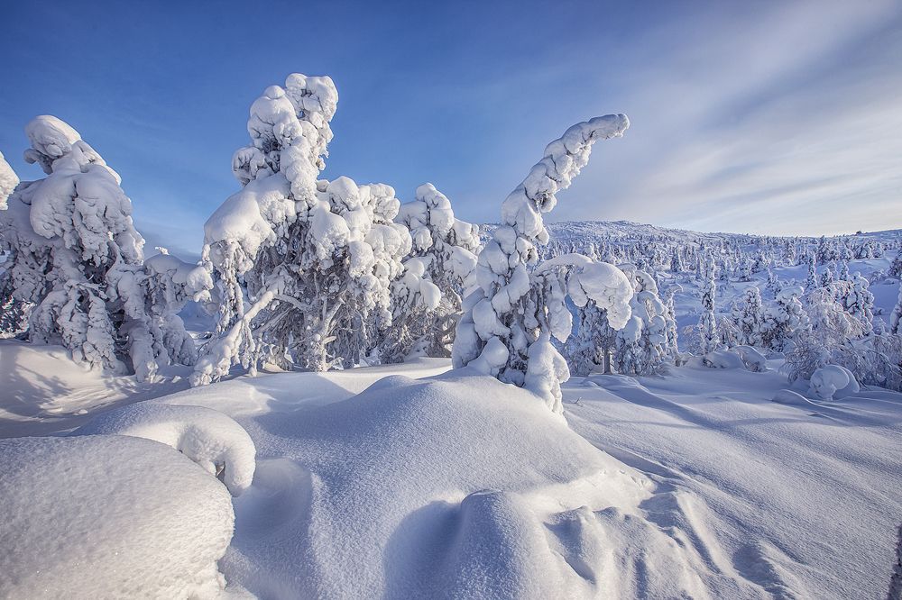 Photograph by Липецких Владимир