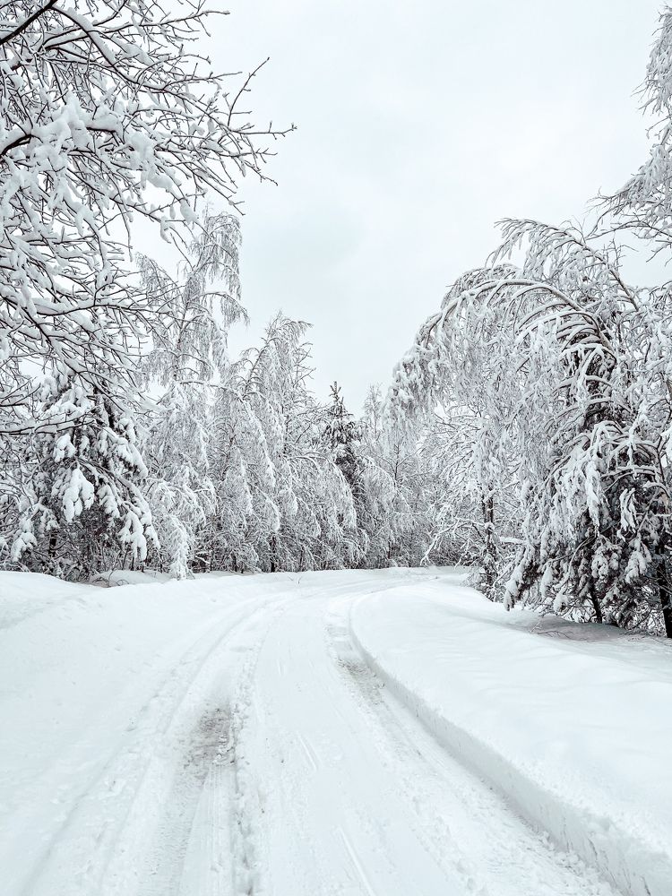 Photograph by Наталья Простова